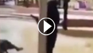 فيديو طريف.. امرأة ترتدي النقاب تصطدم بعمود وتسقط ارضا