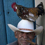 صورة 4 اقوال وطرائف