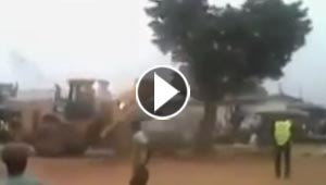 شجرة مسكونة تدهش السودانيين.. كلما اقتلعوها عادت الى مكانها!!