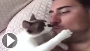 فيديو قطة تجذب وجه صاحبها لتقبله وتجذب ملايين المشاهدين
