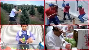  ابداعات عصرية.. محترفون يؤدون وظائفهم وكانهم انسان آلي