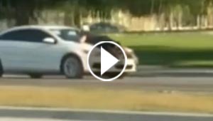 شوارع ميامي تشهد حدثا غريبا طريفا.. سيارة تحمل رجلا على مقدمتها