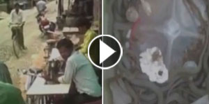رجل يستيقظ من نومه فيجد 150 ثعبانا في بيته.. فيديو