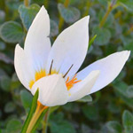 صورة 4 اقوال وطرائف