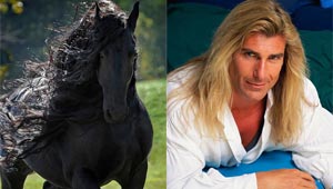  صور اجمل حصان في العالم: هل فعلا يشبه ممثلا ايطاليا؟