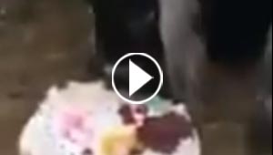 فيديو لاب يطعم الاغنام كعكة تخرج ابنه لانه رسب في الامتحانات!