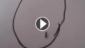 فيديو طريف.. نملة محاصرة داخل رسم دائرة شاهدها الملايين