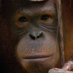 اقوال وطرائف الصورة الثالثة