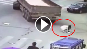 دهستها شاحنة ضخمة وكتبت لها النجاة.. شاهد الفيديو