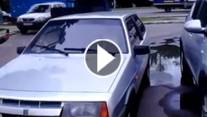 فيديو طريف.. كلب يطلق الزامور لاستدعاء صاحبه الذي تركه بالسيارة!