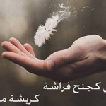 اقوال وطرائف الصورة الثالثة