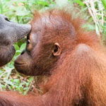 اقوال وطرائف صورة 2