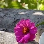 اقوال وطرائف صورة 2