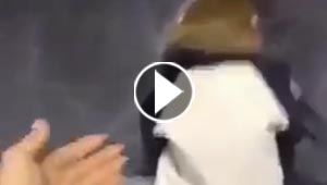 قرد غاضب من صاحبته يثير اعجاب وتعاطف 180 الف مشاهد