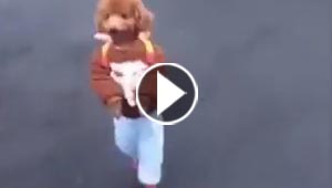فيديو مدهش.. هذا هو اطرف طالب مدرسة على الاطلاق!