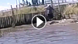 فيديو مرعب.. شاب يتصارع مع تمساح وكاد يتحول إلى وجبة