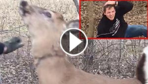  فيديو وصور صادمة: غزال يضرب رجلا مكافأة له لأنه أنقذه من الفخ!