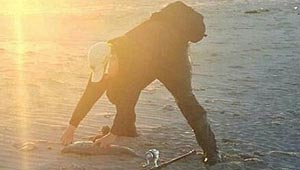خداع البصر في صور.. صياد يلتقط سمكة يظهر فيها بشكل لا تتوقعه!