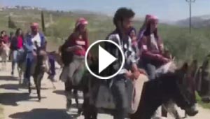 ليست مزحة.. شركة سياحة فلسطينية رأسمالها اسطول من الحمير! فيديو
