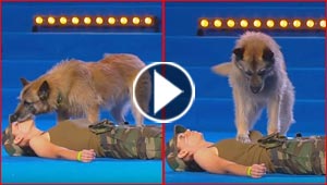 فيديو مدهش.. كلب مدرب يجري عملية انعاش وتنفس لمدربته!