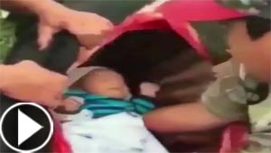 طقوس غريبة لرجل يضع مولوده الجديد في بطن بقرة ميتة.. فيديو