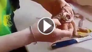فيديو وصور.. هذا ما عثرت عليه سيدة في بطن سمكة اثناء تنظيفها