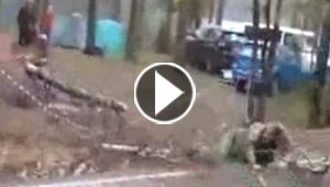رجل ينجو من الموت بأعجوبة بعد ان سقطت عليه شجرة عملاقة.. فيديو