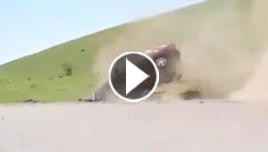 فيديو مثير.. سائق يطير من سيارته وينجو من الموت المحقق