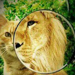 صورة 4 اقوال وطرائف