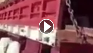 رجل يعطل شاحنته لمدة اسبوعين بسبب عش بنته حمامة عليها! فيديو