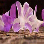 اقوال وطرائف صورة 2