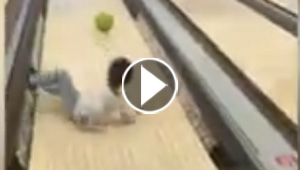 فيديو طريف.. مواقف مضحكة لأطفال يلعبون البولينج