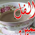 ���� ���� ���������