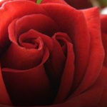 اقوال وطرائف صورة 2