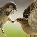 اقوال وطرائف صورة 2