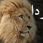 صورة 4 اقوال وطرائف