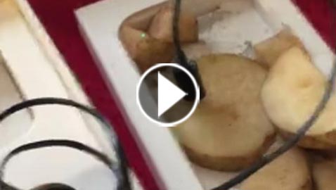 أمريكية حصلت على بطاطا في علبة الآيفون.. فيديو