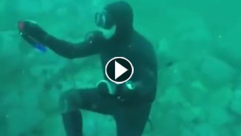 قرش يفاجئ غواصا وآخر يهاجم زوجة المصور