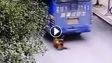فيديو صادم: نجاة طفل دهسه باص ويصعد على جسمه بعجلاته الضخمة