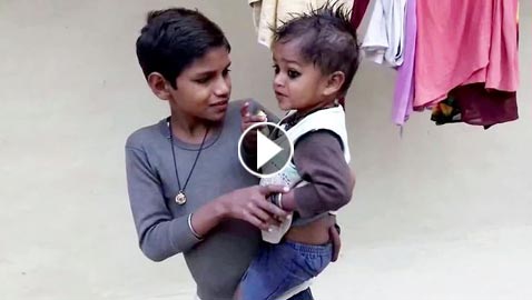 الهند.. ذيل طويل يجعل صاحبه معبودا!