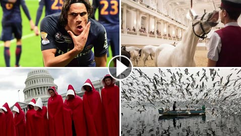 100 صورة التقطت في الوقت المناسب خلال 2017