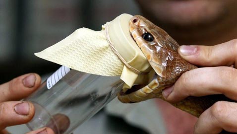 بالصور.. هذه هي أغلى السوائل في العالم