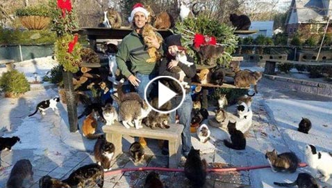 بالفيديو والصور..رجل حوّل منزله إلى مأوى لـ300 قطة