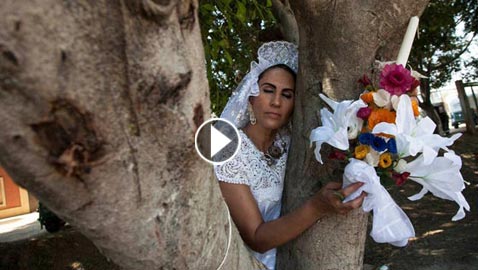  صور حفل (الزواج من شجرة) في المكسيك والعرائس بفساتين الزفاف! 