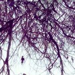 اقوال وطرائف الصورة الثالثة