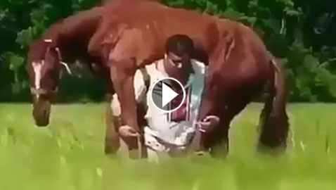 شاهد.. الرجل الخارق يحمل حصاناً ضخماً على كتفيه