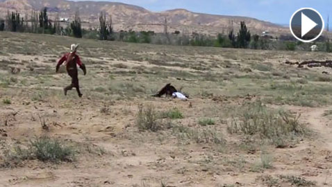 فيديو مرعب.. نسر يحاول اختطاف طفلة