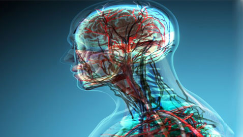 اليكم حقائق ومعلومات مذهلة وغريبة عن جسم الإنسان