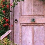 ���� ������