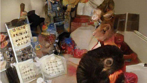 صورة غريبة تثير جنون الملايين والجميع عاجز عن حل لغزها! حاول أنت!